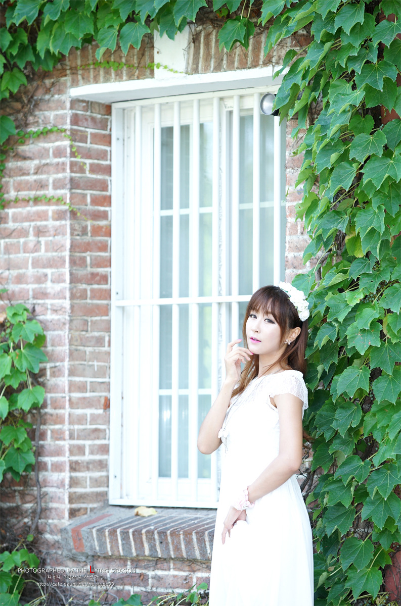 다모 이미지