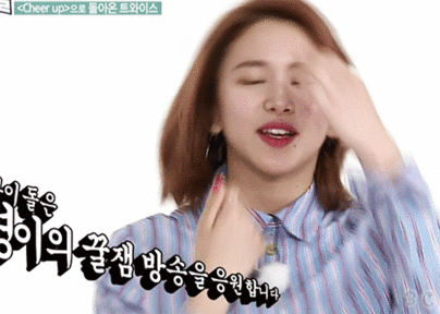트와이스 아기맹수 | 인스티즈