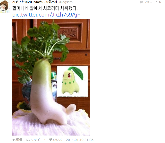 열도의 흔한 농작물들.jpg | 인스티즈
