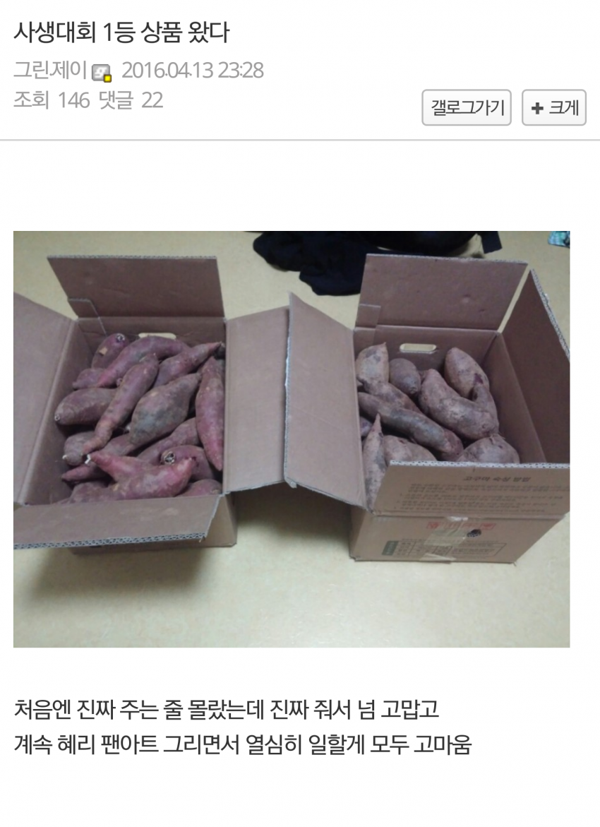디씨의 한갤러리의 노는법 | 인스티즈