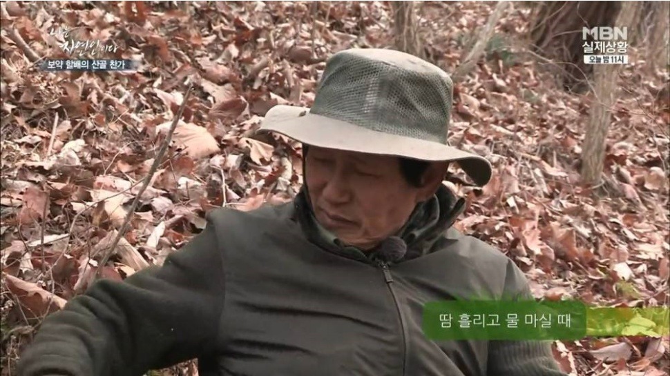 마늘 덕후 나는 자연인이다 | 인스티즈