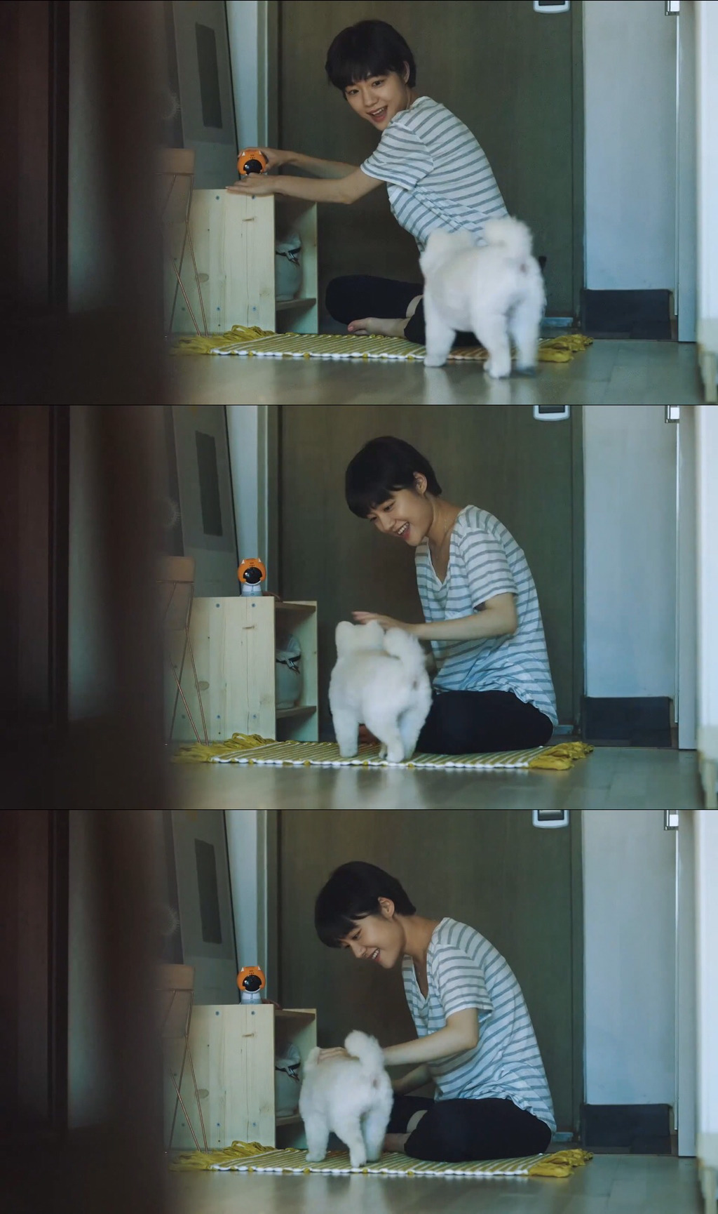 [눈물주의] 반려동물 반려인이라면 홀린듯 끝까지 보게 되는 유튜브 광고 | 인스티즈