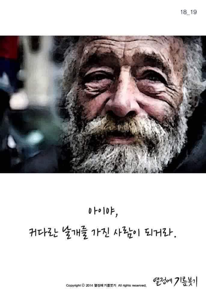 날개가 너무 커서 날지 못하는 새 | 인스티즈