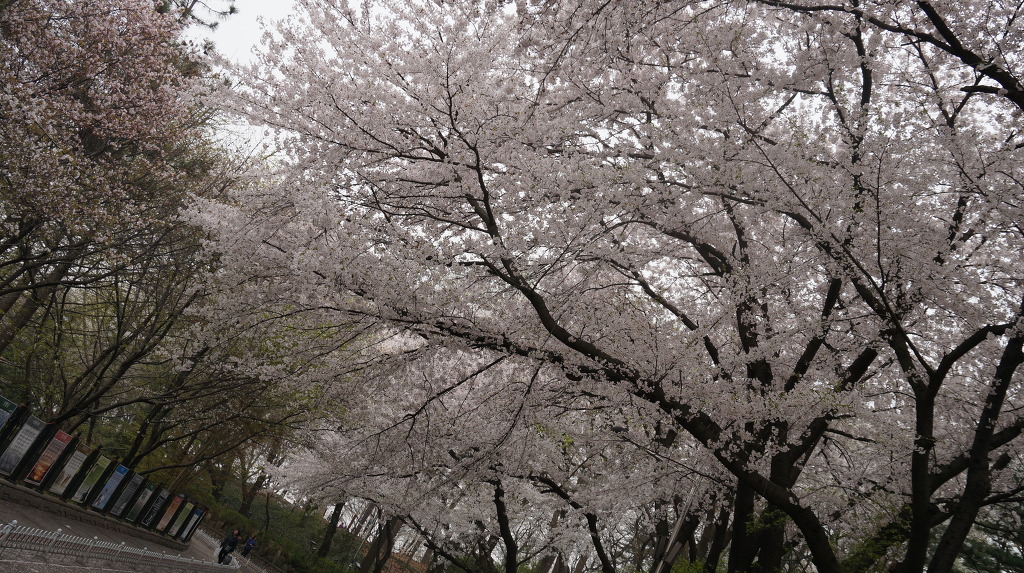 동화마을 이미지