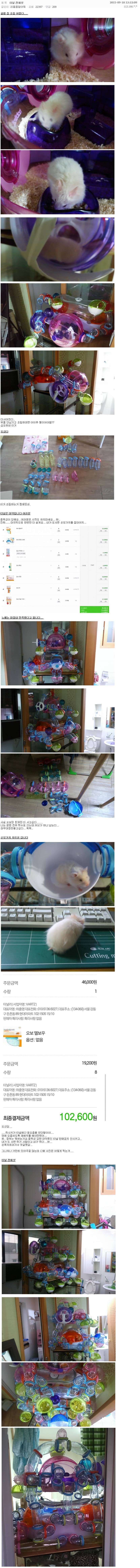 디시인의 흔한 햄스터 키우기.jpg | 인스티즈