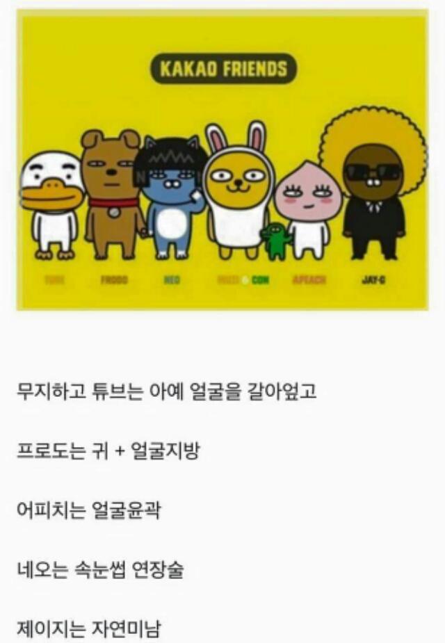 카카오프렌즈 연습생 시절 | 인스티즈