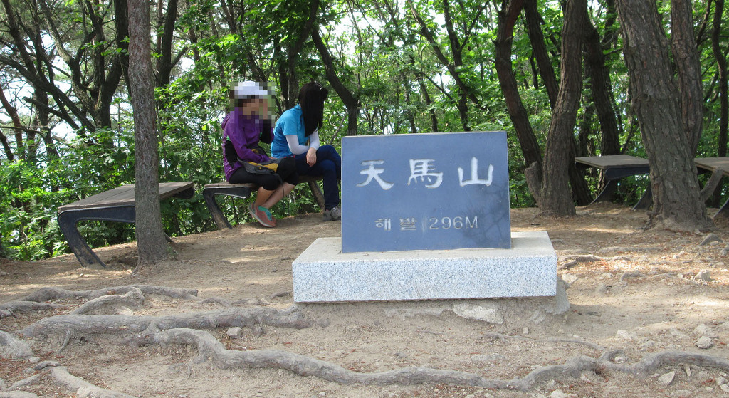 천곡초등학교 이미지
