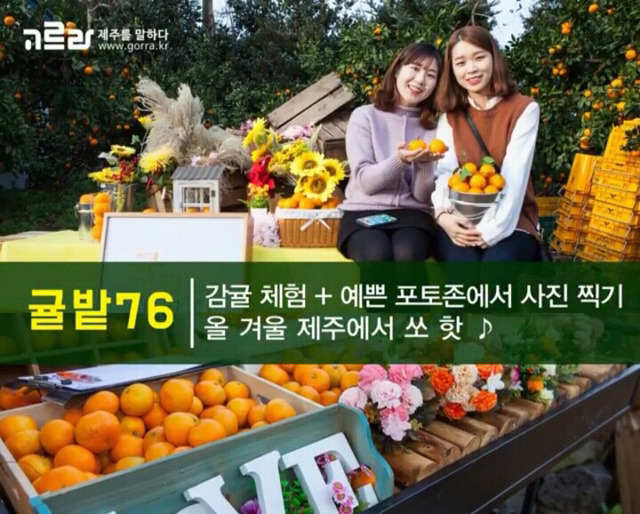여자친구와 제주도로 여행을 떠나보자 | 인스티즈