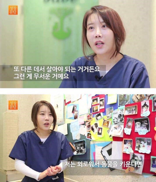 동물을 좋아하는 사람이 동물을 버린단 말이에요 | 인스티즈