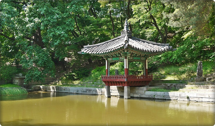 비원 이미지