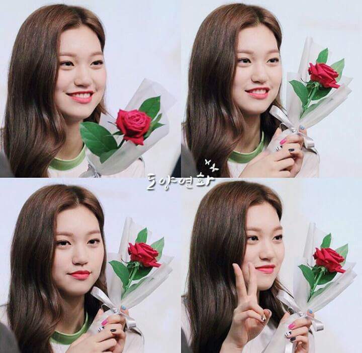 누가 도연이 이고 누가 꽃인지 | 인스티즈