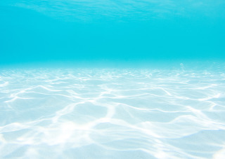 나 아닌 아침과 오후를 사랑해도 좋아 | 인스티즈