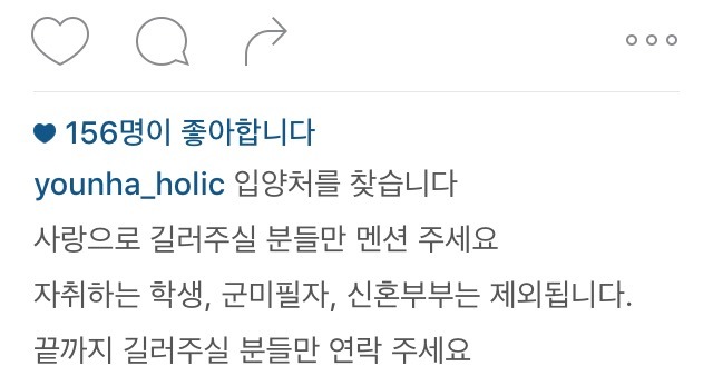 윤하 강아지 분양 | 인스티즈