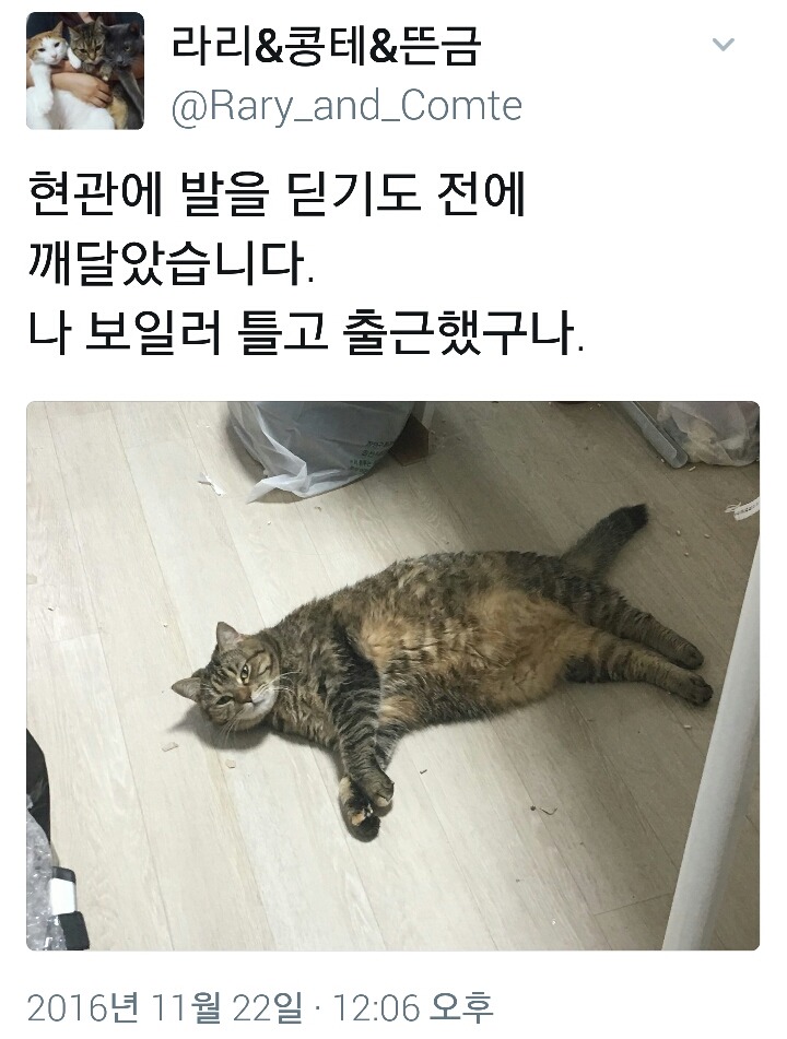 발을 딛기도 전에 깨달았습니다 | 인스티즈