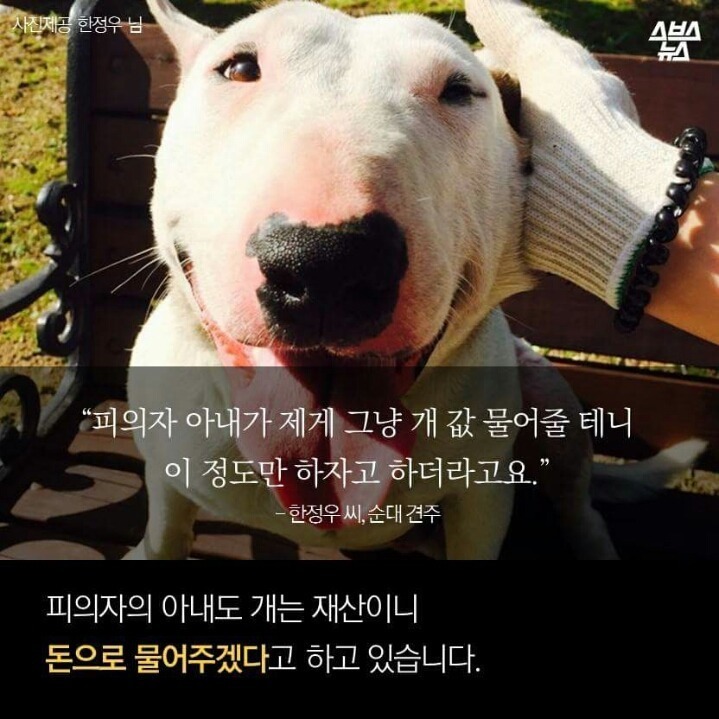 개먹는건 자윤데 남의 개 훔쳐가지 말라고 나쁜 (와이) | 인스티즈