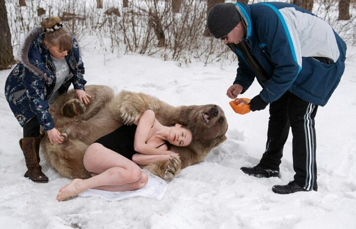불곰국의 흔한 애완동물.JPG | 인스티즈