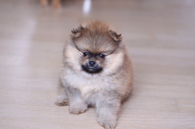 예뻐예 이미지