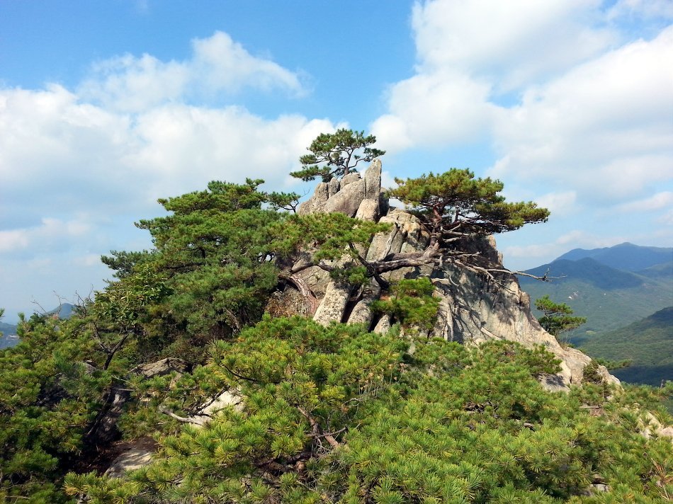 사람사랑산 이미지