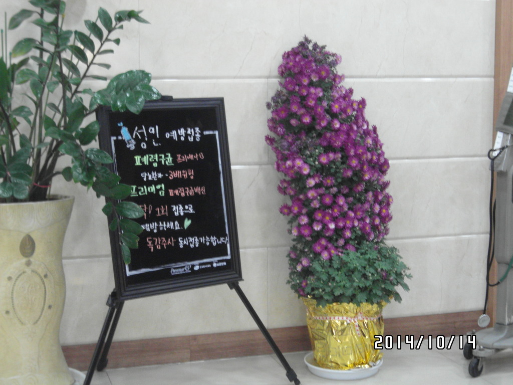 박외과 이미지