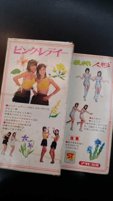일본인들이 뽑은 청춘시대에 유행했던 걸그룹..jpg | 인스티즈