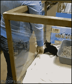 껴안고 난리남﻿﻿.gif | 인스티즈
