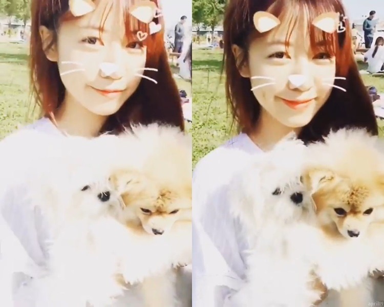 자기전에 보는 에이핑크.jpgif | 인스티즈