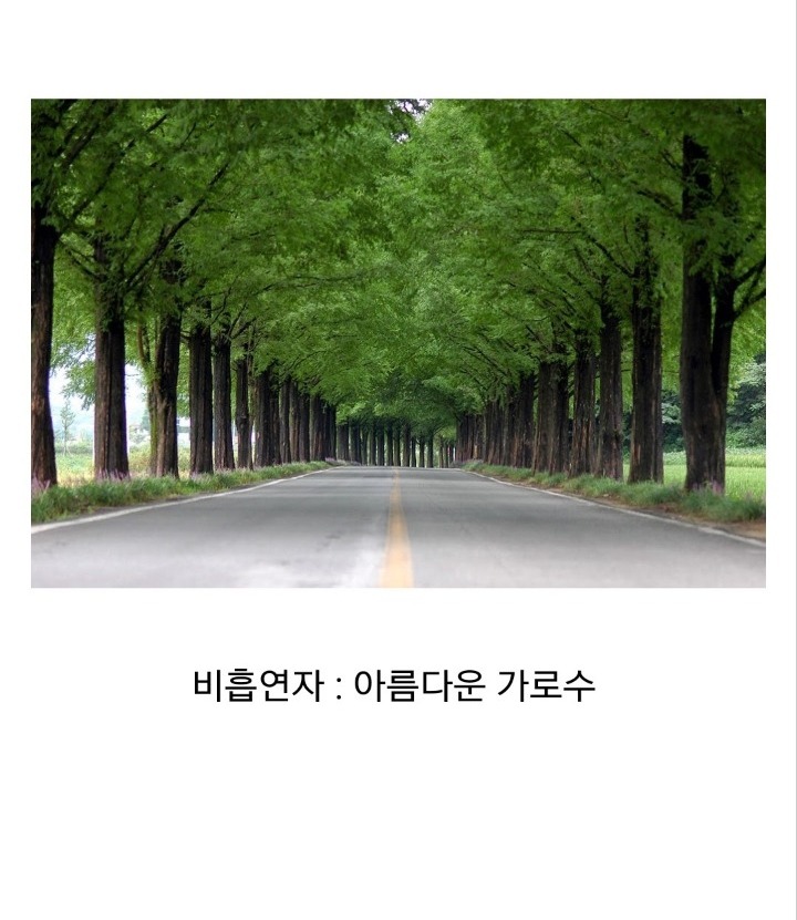 한국에서 흡연자들이 욕을 먹는 이유.jpg | 인스티즈