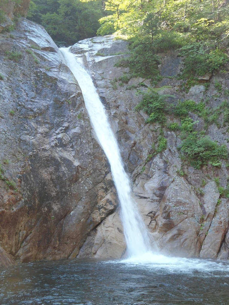 이도원 이미지