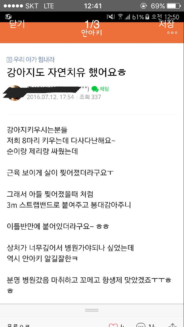 강아지도 자연치유 해서 키우는 안아키 | 인스티즈