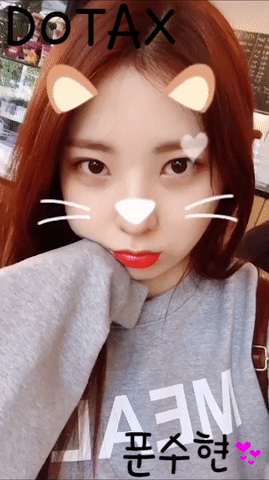 여기도 곤뇽 저기도 곤뇽 | 인스티즈
