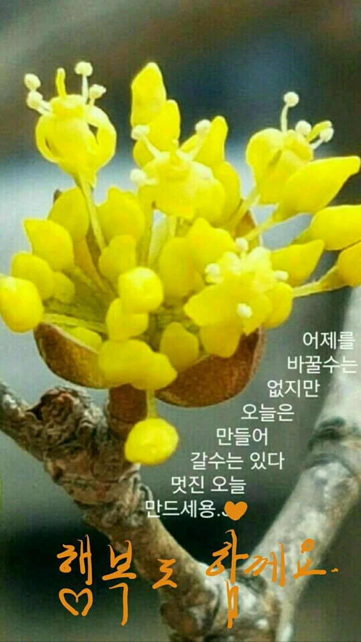 멋진하루 이미지