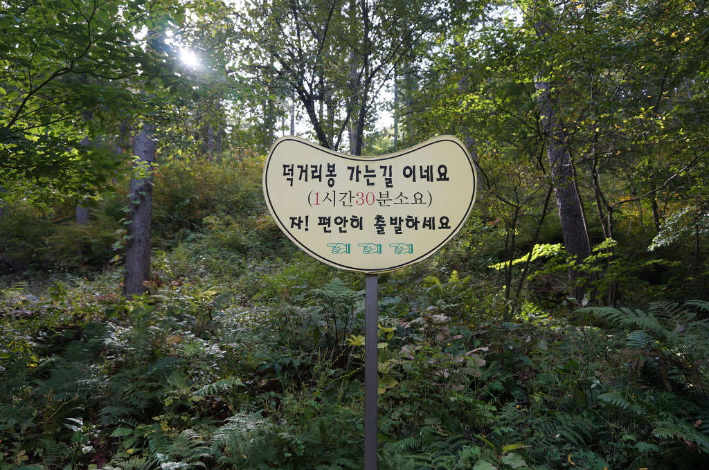 태백고원자연휴양림 이미지