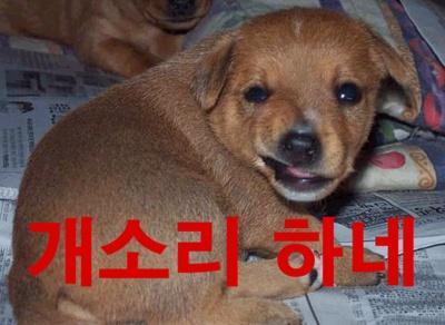 한국인이 휴가를 사용하지 않는 이유 | 인스티즈