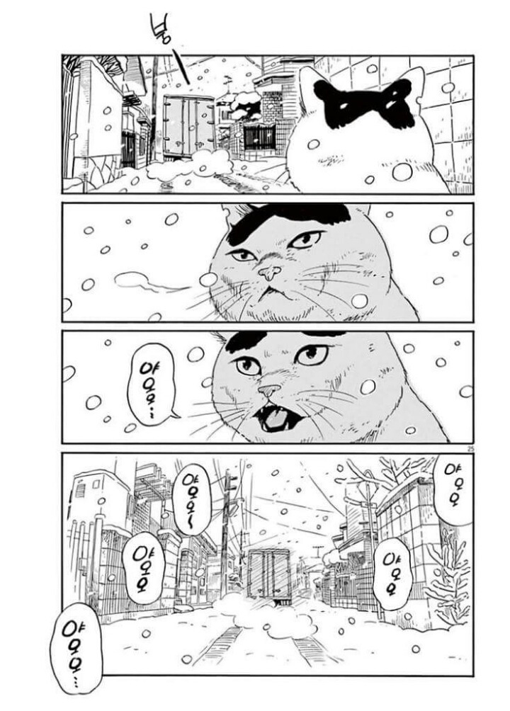 고양이 분짱(슬픔주의) | 인스티즈