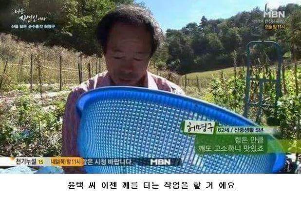 말벌잡는아저씨ㅋㅋㅋㅋㅋㅋㅋㅋ | 인스티즈