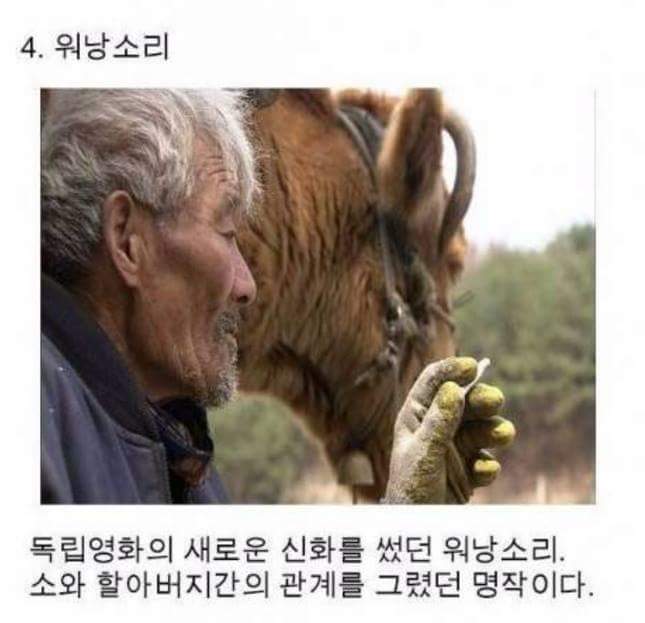 영화의 주인공이었던 그들.. | 인스티즈