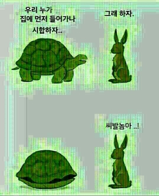 토끼와거북이 이미지
