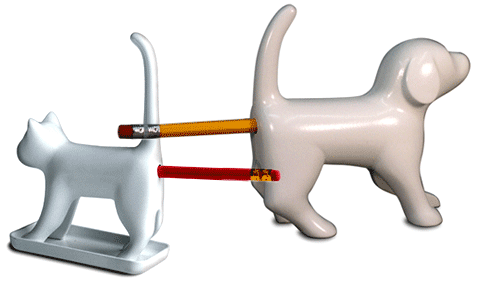 연필깎이 성애자........ (사진주의) | 인스티즈