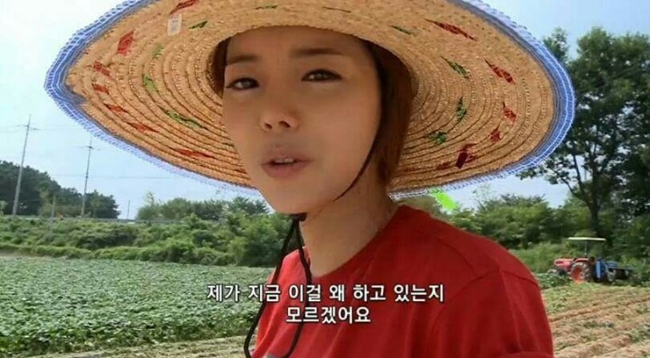 고구마 캐다 빡쳐서 걸그룹 탈퇴한 아이돌 | 인스티즈