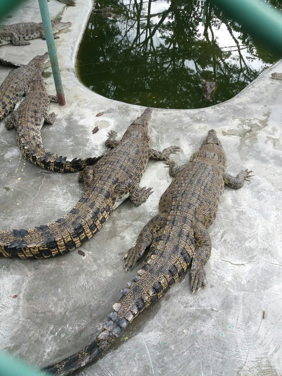 마르코호텔 이미지
