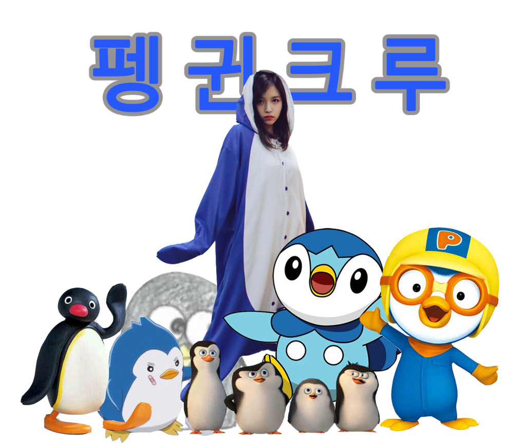펭귄 미나는 요리여왕(?) | 인스티즈