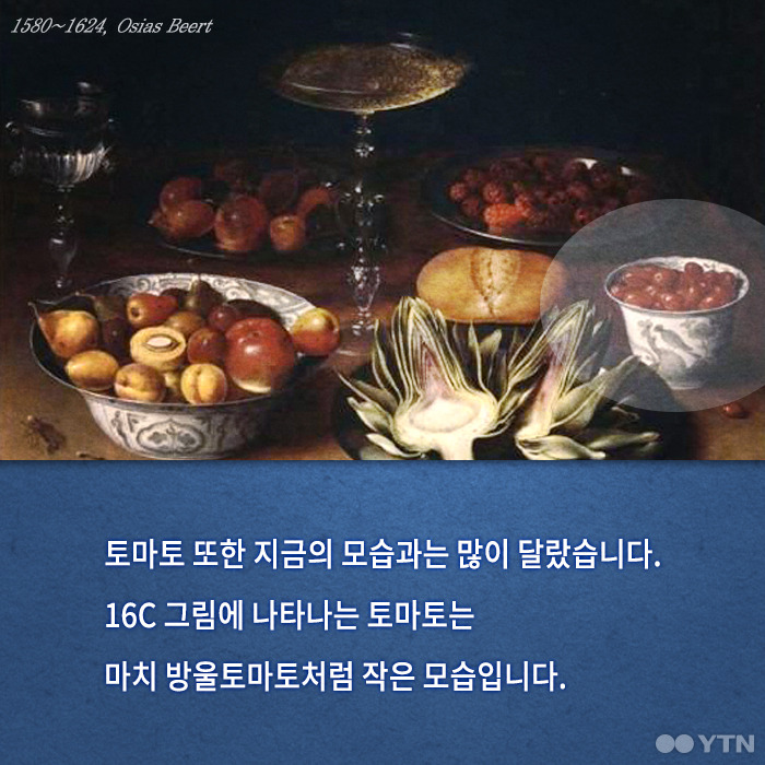 당신이 모르는 수박의 숨겨진 과거 | 인스티즈
