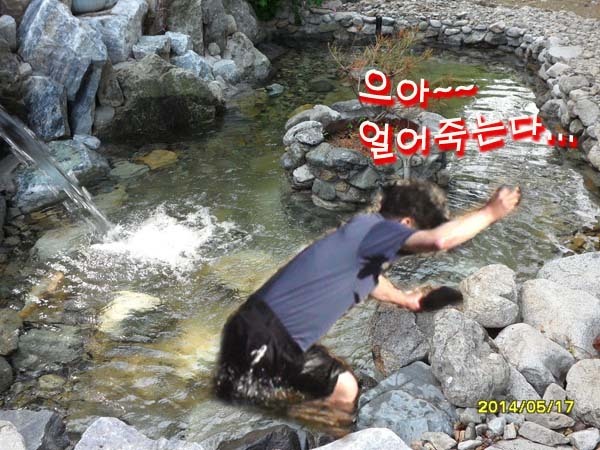 케이디피 이미지