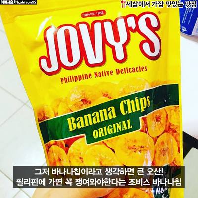 돼지력 테스트 | 인스티즈