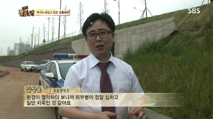 [TV동물농장] 동물농장에서 방송된 인천의 한 개 도축장의 현실.jpg | 인스티즈