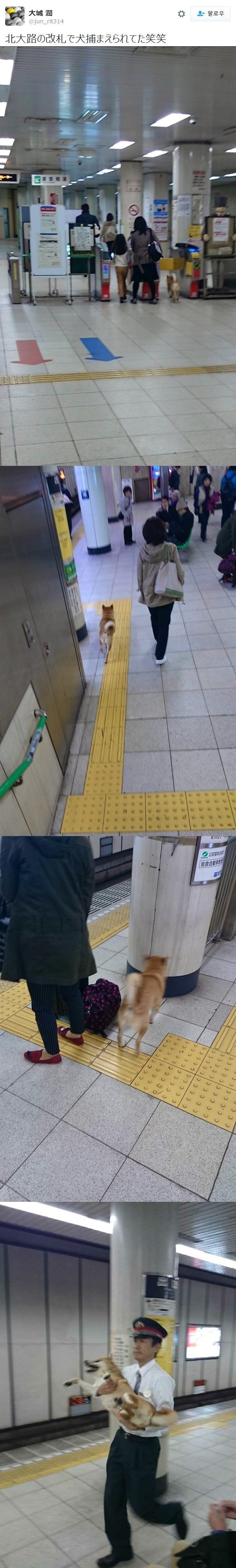 열도의 흔한 무임승차.jpg | 인스티즈