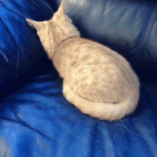찾아냈다 차원의문.gif | 인스티즈