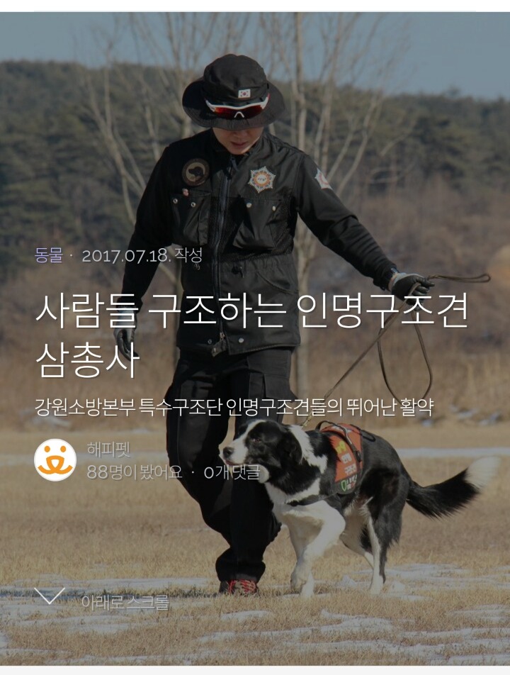 사람들 구조하는 인명구조견 삼총사 | 인스티즈