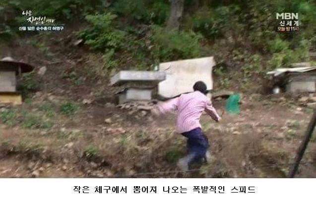 나는 자연인이다 레전드 | 인스티즈