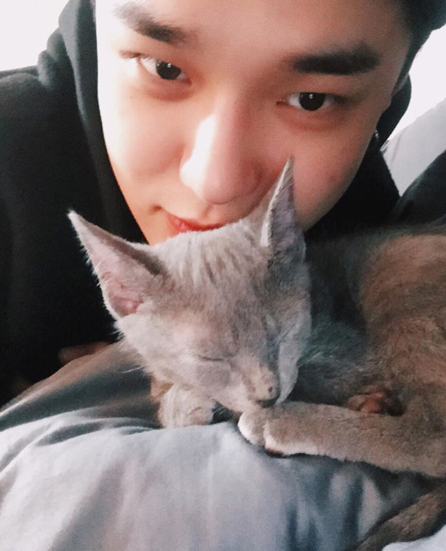 두식이 이미지